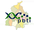 PBTI